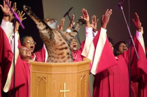 yip_photoshop_must_have_featured_here_640_01